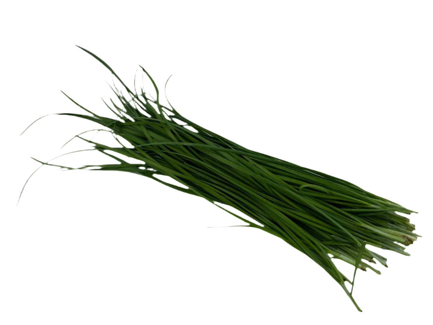 Chinese Chives 韮菜