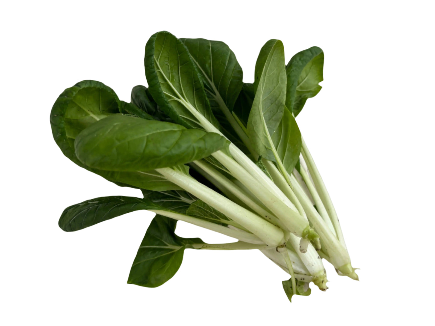Pak Choi 白菜
