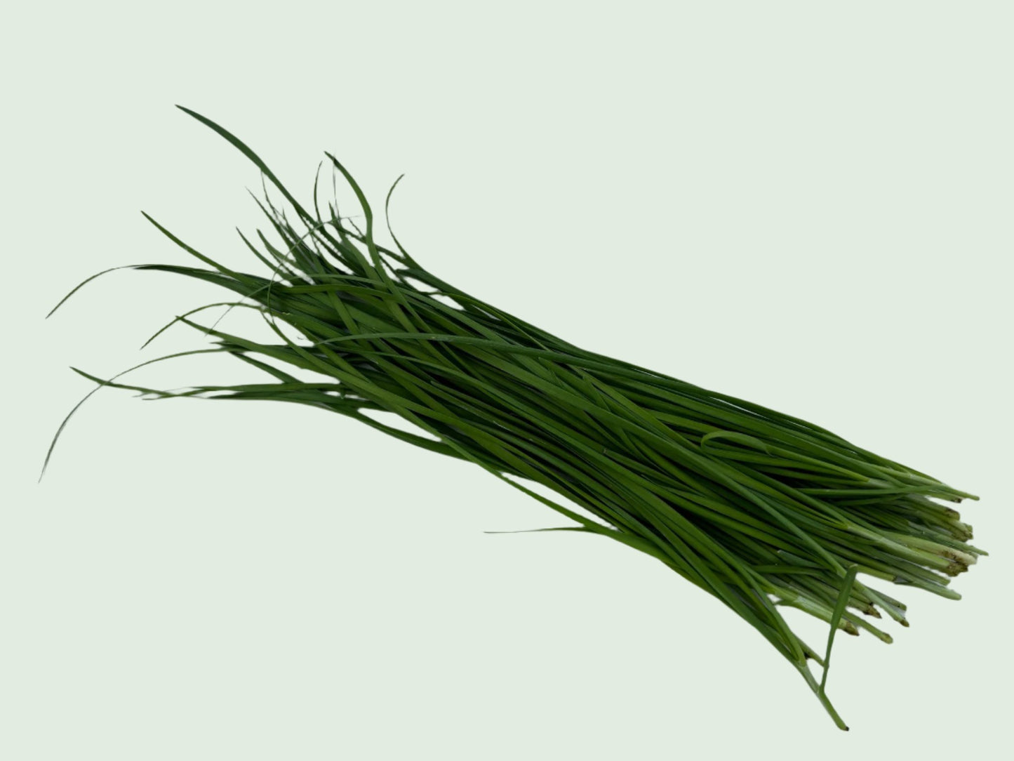 Chinese Chives 韮菜