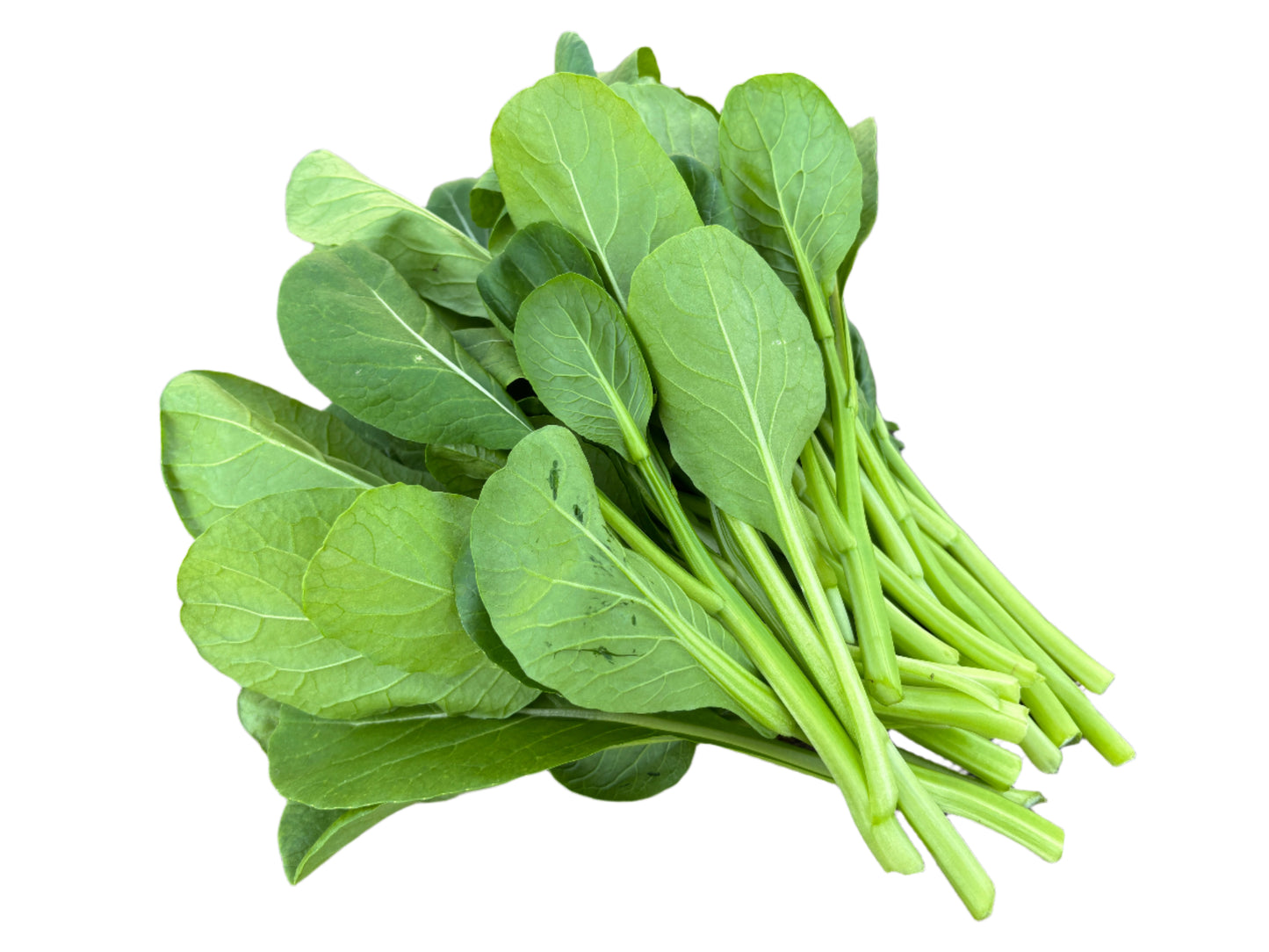 Choy Sum 港式菜心