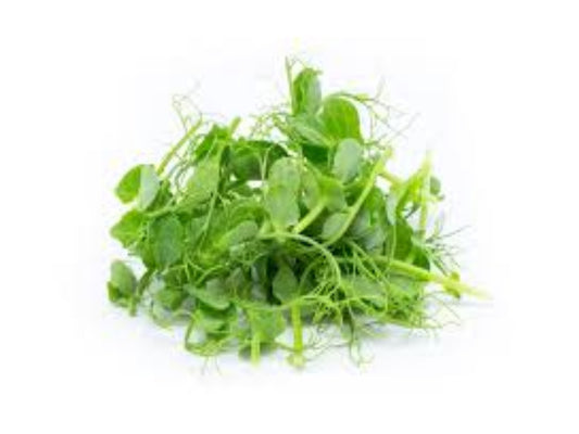 Pea Shoots 豆苗
